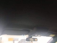 BYD Qin PLUS DM-i Smart Drive Edition 55KM Leading - ფოტო 18