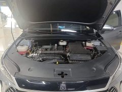 BYD Qin PLUS DM-i Smart Drive Edition 55KM Leading - ფოტო 20