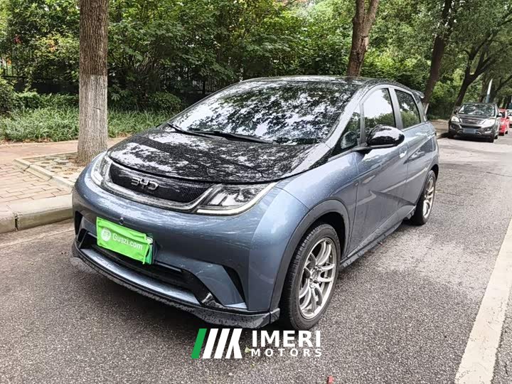 BYD Dolphin Glory Edition 401km Knight Edition - ავტომობილი ჩინეთიდან