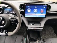BYD Dolphin Glory Edition 401km Knight Edition - ფოტო 13