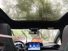 BYD Dolphin Glory Edition 401km Knight Edition - ფოტო 18