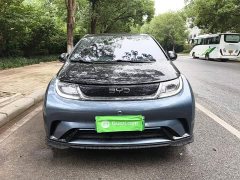 BYD Dolphin Glory Edition 401km Knight Edition - ფოტო 3