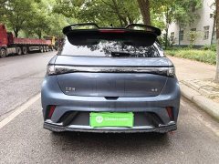 BYD Dolphin Glory Edition 401km Knight Edition - ფოტო 6