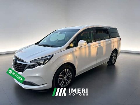 2021 Buick GL8 ES Land Respect 653T Respect Enjoyment Edition - ავტომობილი ჩინეთიდან