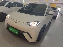 BYD Seagull 2023 Vitality Edition - ფოტო 1