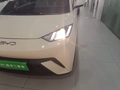 BYD Seagull 2023 Vitality Edition - ფოტო 18