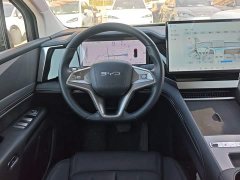 BYD M9 1060 Pilot Edition - ფოტო 11