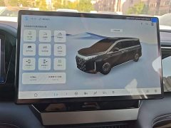 BYD M9 1060 Pilot Edition - ფოტო 13