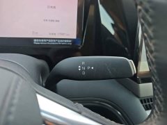 BYD M9 1060 Pilot Edition - ფოტო 14