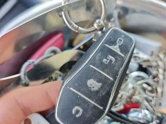 BYD M9 1060 Pilot Edition - ფოტო 9