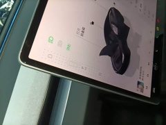 Tesla Model 3 Rear-Wheel Drive - ფოტო 14