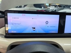 Wuling Binguo 410km Lingxi Premium Edition - ფოტო 12