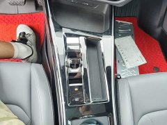 Volkswagen Lingdu L 300TSI Lingfeng Edition - ფოტო 10