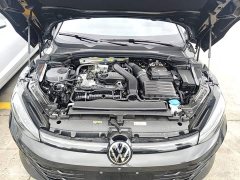 Volkswagen Lingdu L 300TSI Lingfeng Edition - ფოტო 16