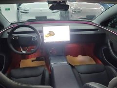 Tesla Model 3 High Performance All-Wheel Drive - ფოტო 10