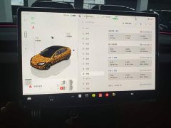 Tesla Model 3 High Performance All-Wheel Drive - ფოტო 12