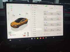 Tesla Model 3 High Performance All-Wheel Drive - ფოტო 13