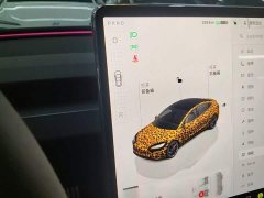 Tesla Model 3 High Performance All-Wheel Drive - ფოტო 14