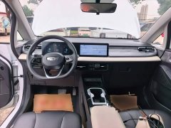 Geely Geometry E Firefly 301km Starlight - ფოტო 10