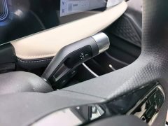 Geely Geometry E Firefly 301km Starlight - ფოტო 14