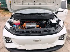 Geely Geometry E Firefly 301km Starlight - ფოტო 20