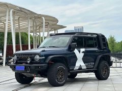 Tank 300 Off-Road Edition 2.0T - ფოტო 1