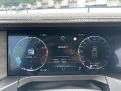Tank 300 Off-Road Edition 2.0T - ფოტო 16