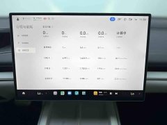 Xiaomi SU7 Quad Motor Max Founder Edition - ფოტო 12