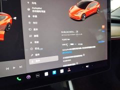 Tesla Model 3 2020 Facelift Standard Range RWD Upgrade - ფოტო 12