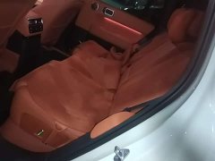 Li Auto L6 Max - ფოტო 17