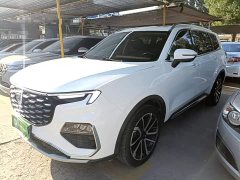 Ford Lingyue Territory EcoBoost 225 Premium 7-Seater (2/2/3) - ფოტო 2