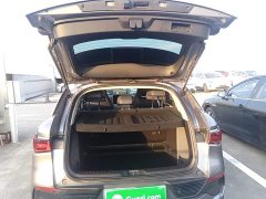 BYD Yuan Plus Champion Edition 430KM Leading - ფოტო 19