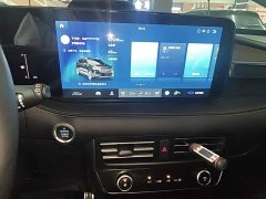 Ford Edge PLUS EcoBoost 245 AWD Premium 7-Seater - ფოტო 13