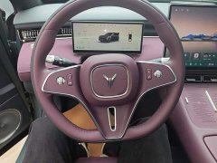 Voyah Lantu FREE Rear-Wheel Drive Qiankun Edition - ფოტო 11