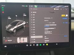 Tesla Model Y 2022 Facelift Rear-Wheel Drive - ფოტო 12