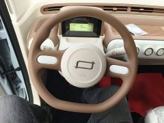 FAW Besturn Xiaoma 222km Cute Horse - ფოტო 11