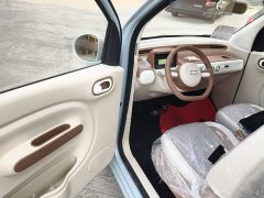 FAW Besturn Xiaoma 222km Cute Horse - ფოტო 16