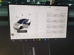 Tesla Model Y Rear-Wheel Drive - ფოტო 13