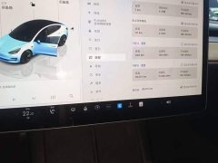 Tesla Model 3 Rear-Wheel Drive - ფოტო 12