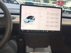 Tesla Model 3 Rear-Wheel Drive - ფოტო 13