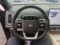 Li Auto L9 2022 Max - ფოტო 11