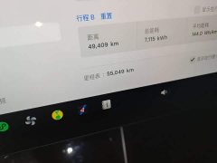 Tesla Model Y Rear-Wheel Drive - ფოტო 12