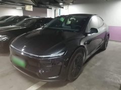Tesla Model Y Rear-Wheel Drive - ფოტო 2