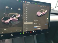 Tesla Model Y Long Range All-Wheel Drive - ფოტო 12
