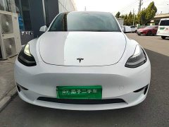 Tesla Model Y Long Range All-Wheel Drive - ფოტო 3