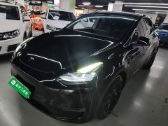 Tesla Model Y Long Range All-Wheel Drive 3D7 - ფოტო 1