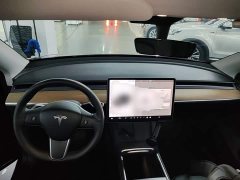 Tesla Model Y Long Range All-Wheel Drive 3D7 - ფოტო 10