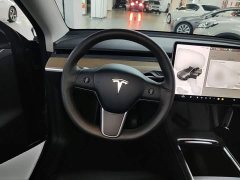Tesla Model Y Long Range All-Wheel Drive 3D7 - ფოტო 11