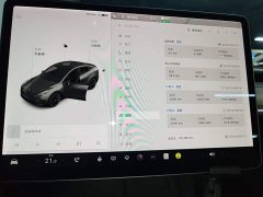Tesla Model Y Long Range All-Wheel Drive 3D7 - ფოტო 12