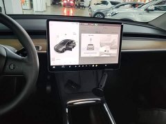 Tesla Model Y Long Range All-Wheel Drive 3D7 - ფოტო 13